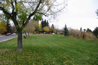 edworthy park