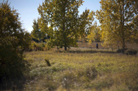 south glenmore park