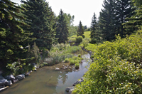 confederation park